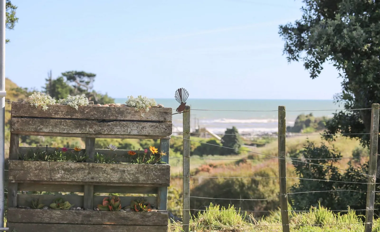 Sea views from powered sites at Kai Iwi Beach Holiday Park